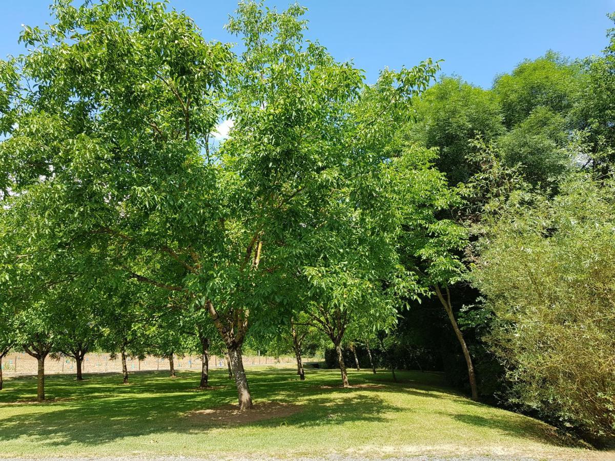 Bed and Breakfast Moulin Du Soustre Cavagnac Екстер'єр фото